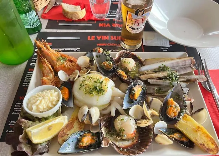 Barcaresa-brillant Vue Piscine * Le Barcarès